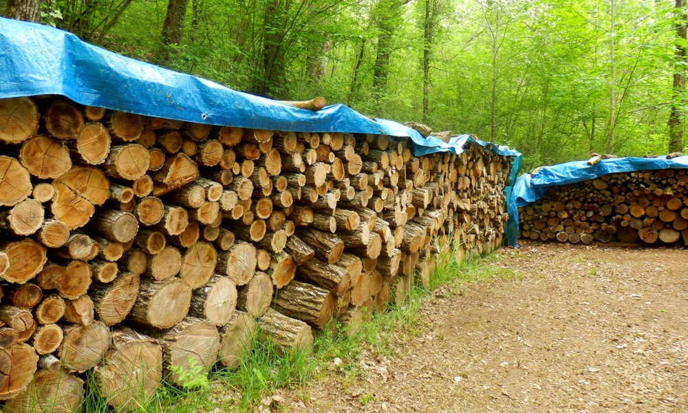 Jaką plandekę wybrać? 